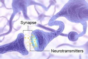 neurotransmitters-and-synapse